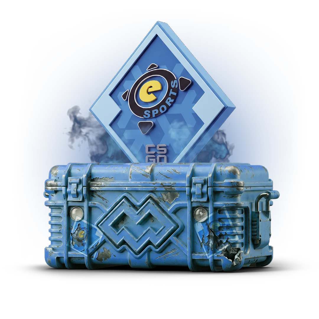 eSports 2013 Winter Case